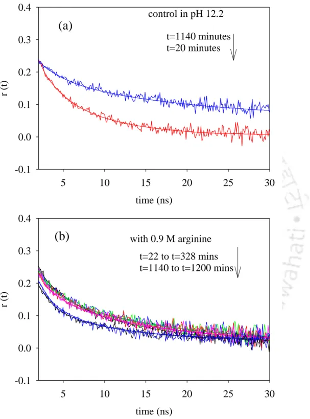 Figure 6.5 Anisotropy decay profiles in pH 12.2 buffer in (a) the absence of 0.9 M L-Arg  HCl  and (b)0.9 M L-Arg