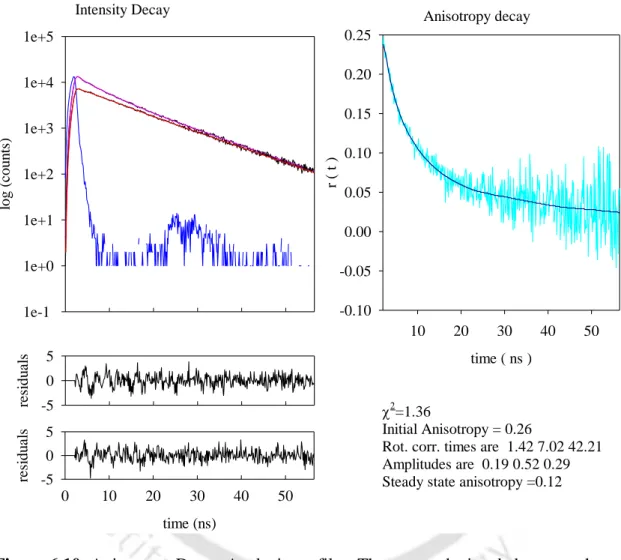 Figure 6.10: Anisotropy Decay Analysis profiles. The curves depicted above are the  same as in the previous figures 