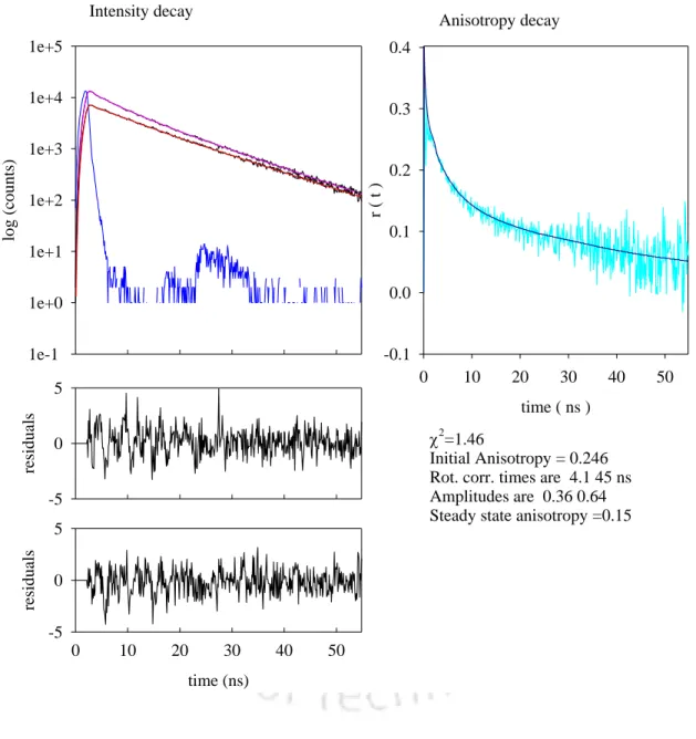 Figure 6.11 Anisotropy Decay Analysis profiles  