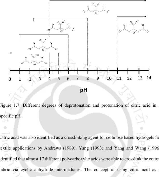 Figure  1.7:  Different  degrees  of  deprotonation  and  protonation  of  citric  acid  in  a  specific pH