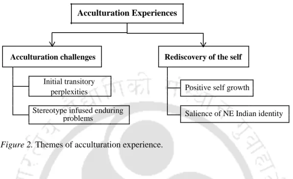 Figure 2. Themes of acculturation experience.