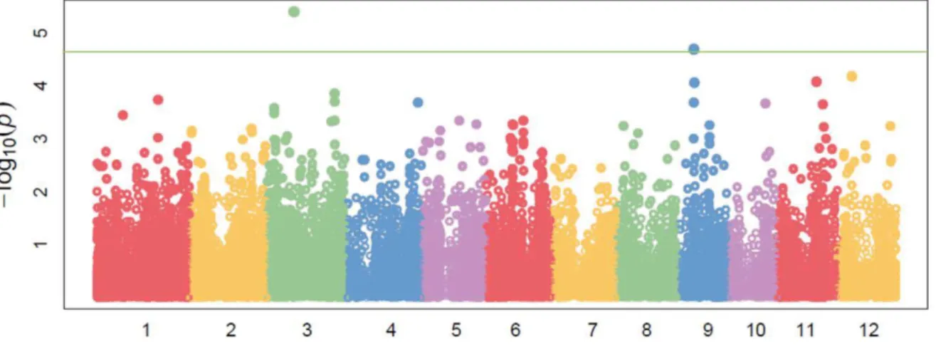 Figure 3. Manhattan plot showing the marker trait associations (MTAs)