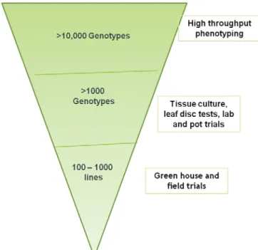 Figure 1. Importance of high throughput phenotyping for disease resistance 