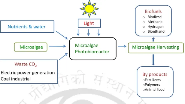 Fig. 1.1. Schematic of CO 2  mitigation in photo-bioreactor with generation of value-added      products 