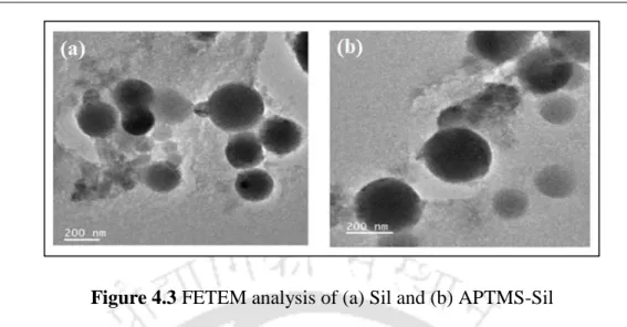 Figure 4.4 FESEM top surface analysis of (a) PVA/PEG/Sil and (b) PVA/PEG/APTMS- PVA/PEG/APTMS-Sil membrane 