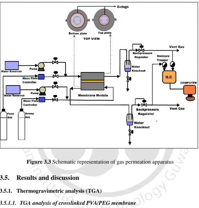 Figure 3.3 Schematic representation of gas permeation apparatus 