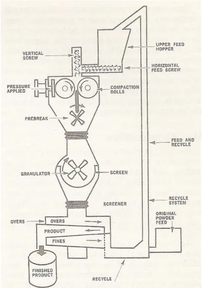 Fig. 1 Schematic diagram of a Chilsonator Roller Compactor in a granulation  production system  