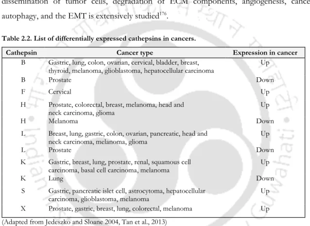 Table 2.2. List of differentially expressed cathepsins in cancers. 