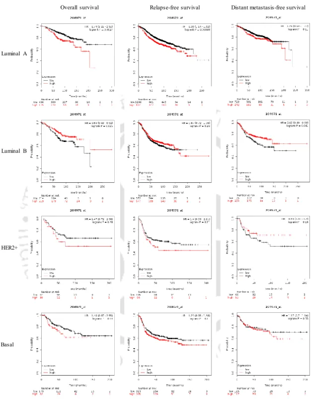 Figure  4.2. Kaplan-Meier  survival  analysis  for  OS,  RFS  and  DMFS  with  respect  to  CSTA  in  breast  tumors of various molecular subtypes