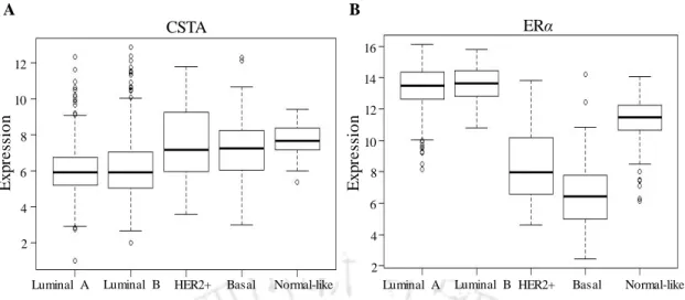 Figure 4.4. Expression of CSTA and ERα  mRNA in molecular subtypes of breast tumors.  Box plots  showing the distribution of CSTA (A)  and ERα  (B) mRNA expression in the indicated subtypes of primary  breast tumors