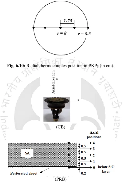 Fig. 6.10: Radial thermocouples position in PKP S  (in cm). 