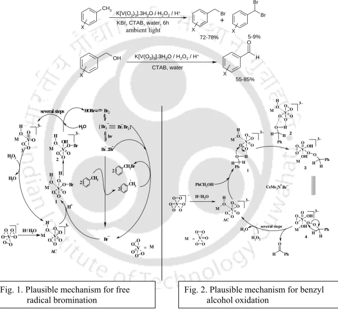 Fig. 1. Plausible mechanism for free                 radical bromination 