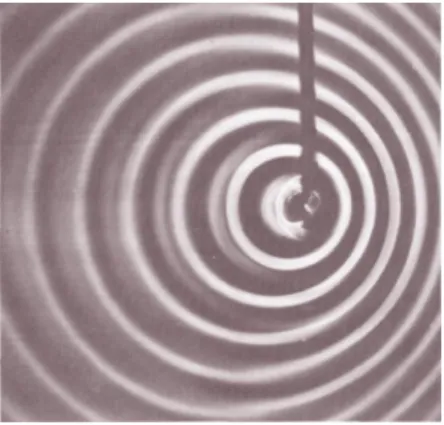 Figure v shows the wave pattern made by the tip of a vibrating rod which is moving across the water