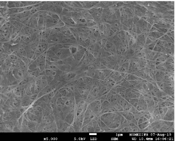 Fig 8: Scanning electron micrograph of microbial nanofibers that trap the microbe