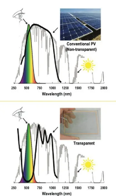 Fig. 16: Spectral response of conventional and transparent PV