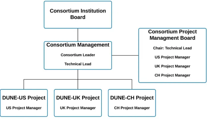 Figure 3.1: Sample DUNE internal consortium structure