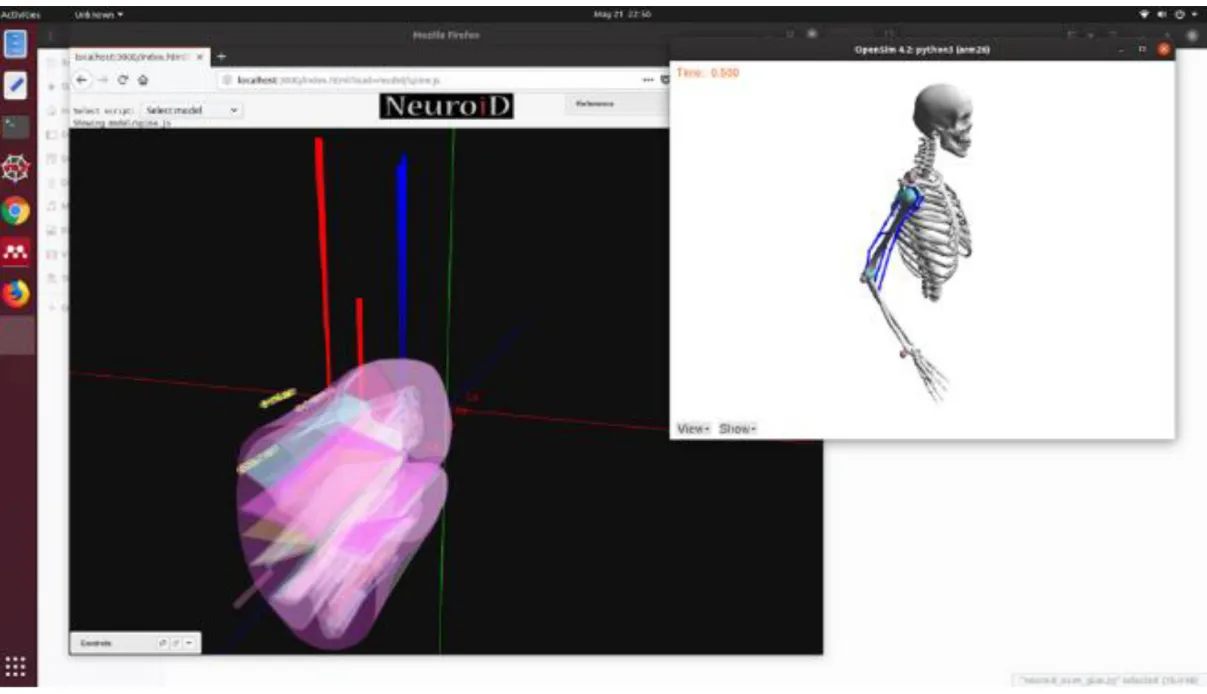 Figure 6: A screenshot from the NEUROiD in silico movement platform with the spinal cord  controller(left) and the natural robot - a human hand (right)