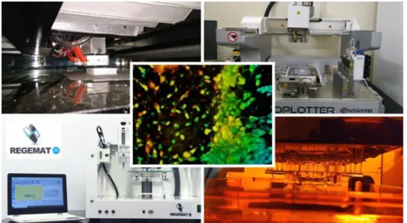 Figure 6: 3D Bioprinting facilities in BioFabTE Lab at IIT Hyderabad