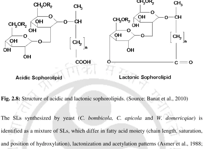 Fig. 2.8: Structure of acidic and lactonic sophorolipids. (Source: Banat et al., 2010) 
