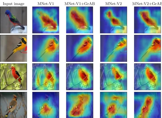 Figure 4.4: Grad-CAM++ visualization results. Here the input images are Painted bunting, Hooded Oriole, Scarlet Tanager, and Bohemian Waxwing (in order)
