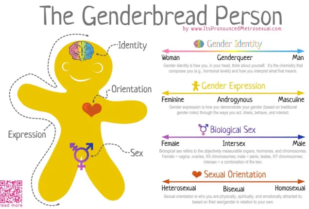 Figure 1.  The Genderbread Person 