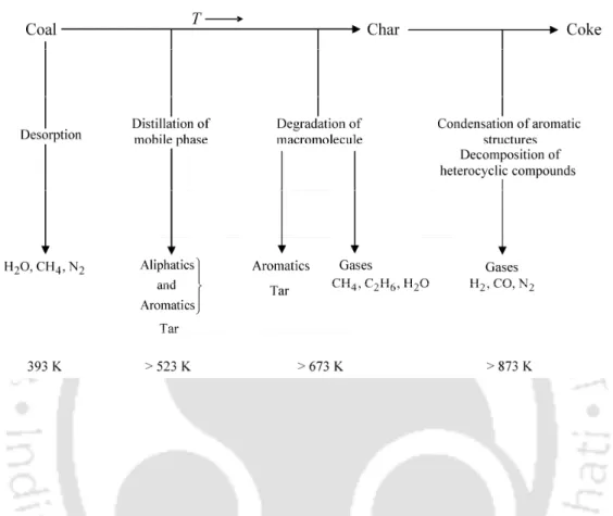 Figure 2.2 The main reactions which occur during coal pyrolysis as per the  mechanism of devolatilization proposed by van Heek and Hodek [5] (adapted by 