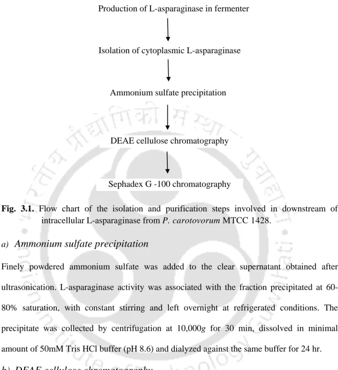 Fig. 3.1.  Flow chart of the isolation and purification steps involved in downstream of  intracellular L-asparaginase from P