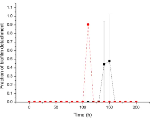 Figure 4.4: The plot showing the variation of Pseudomonas aeruginosa biofilm detachment during microbial mat development at two different substrate concentrations 3gm m-3 (Square symbol), and 5 gm m-3( Round symbol), as a function of time (0 − 200 hrs.) wi