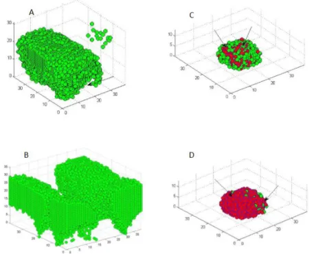 Figure 4.8: In this figure, plot A) and B) shows cell death happens at the bottom of untreated biofilm which leave a hollow structures, plot C) and D) shows antibiotic treated biofilm where most of the cell death (Red colour) happens at surface of the biof