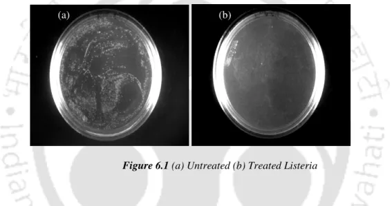 Figure 6.1 (a) Untreated (b) Treated Listeria 