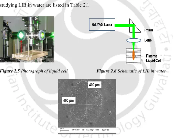 Figure 2.5 Photograph of liquid cell                         Figure 2.6 Schematic of LIB in water 