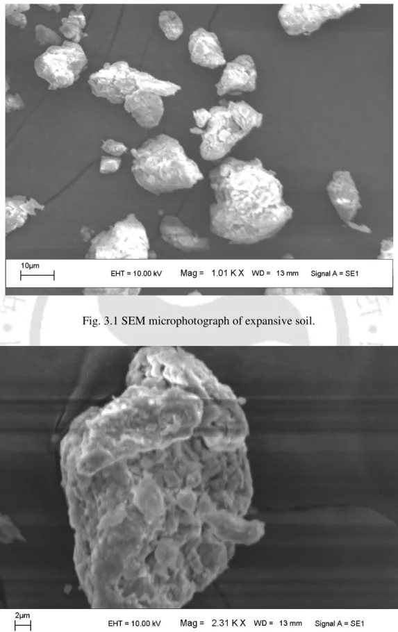 Fig. 3.1 SEM microphotograph of expansive soil. 