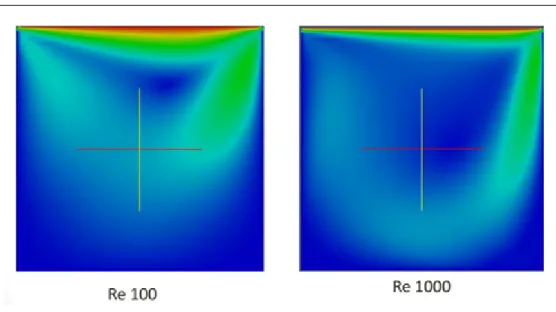 Figure 3.1: Contours of Umag for Re 100 and Re 1000 Discussion: