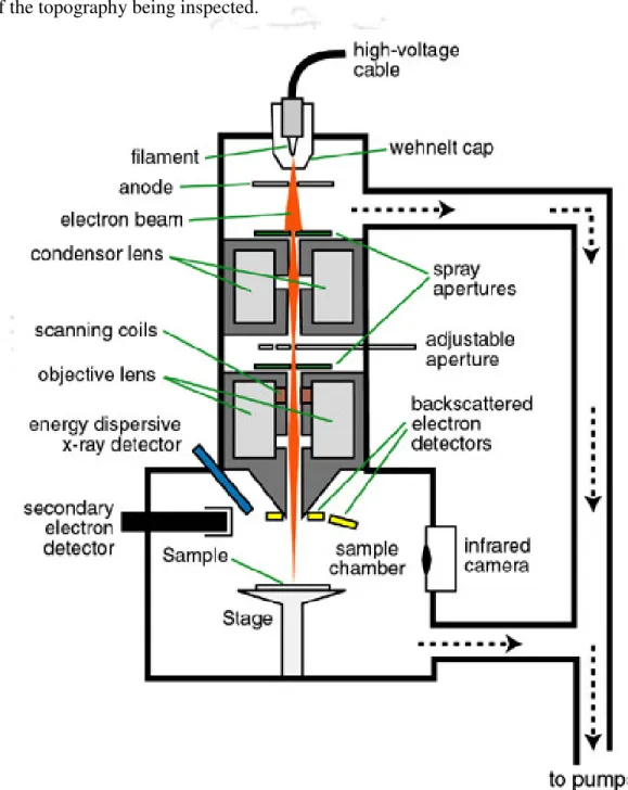 Fig. 2.4 Schematic view of scanning electron microscope.   