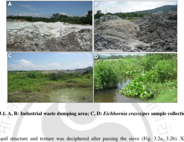 Fig 3.1. A, B: Industrial waste dumping area; C, D: Eichhornia crasssipes sample collection  site 