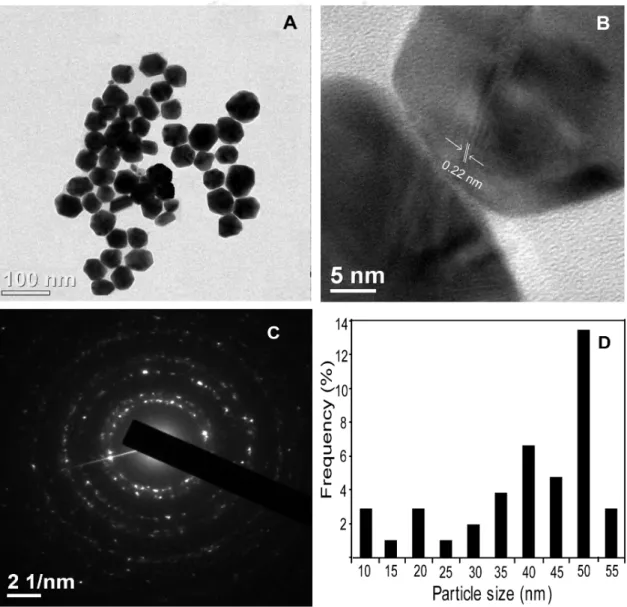 Figure 2.2 (A) TEM, (B) HRTEM, (C) SAED pattern, and (D) size distribution of AuNPs  prepared by reacting 2 mM HAuCl 4  solution with 0.02% M