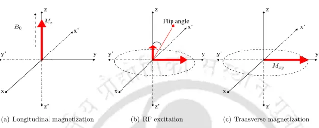 Figure 2.2: Illustration of the magnetization processes within a 3D coordinate system