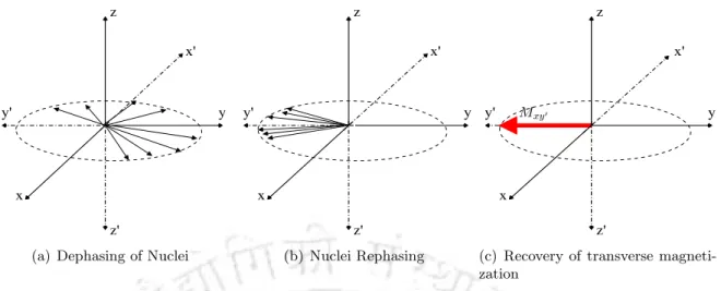 Figure 2.4: Illustration of nuclei rephasing through spin reversal in the spin echo sequence