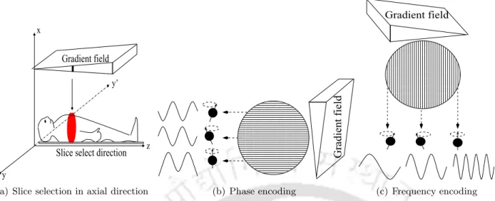 Figure 2.5: Spatial encoding of MR signals using the gradients. (a) Slice selection is achieved in axial direction by temporarily inducing a linear magnetic field gradient along z − axis