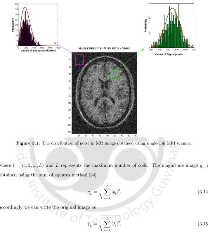 Figure 3.1: The distribution of noise in MR image obtained using single-coil MRI scanner.