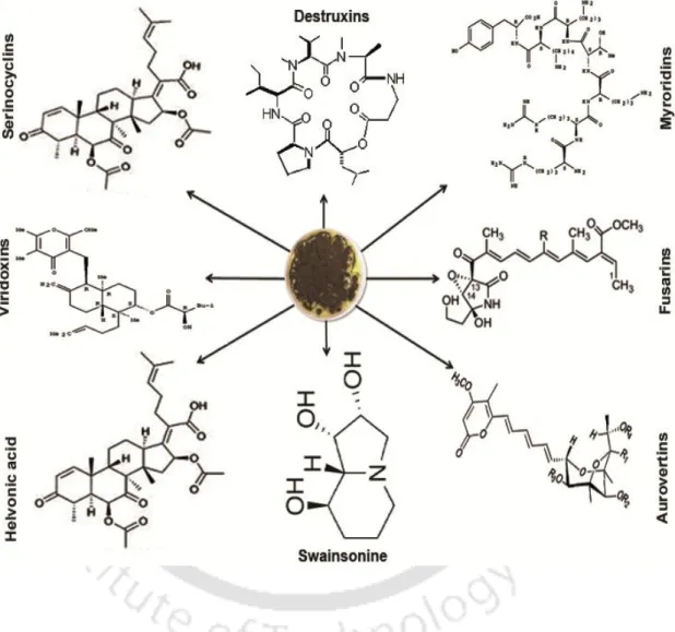 Fig. 1.1.  Bioactive secondary metabolites reported from Metarhizium spp.  