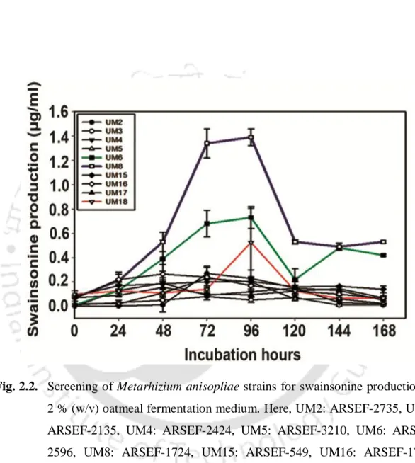 Fig. 2.2.  Screening of Metarhizium anisopliae  strains for swainsonine production  in  2 % (w/v) oatmeal fermentation medium