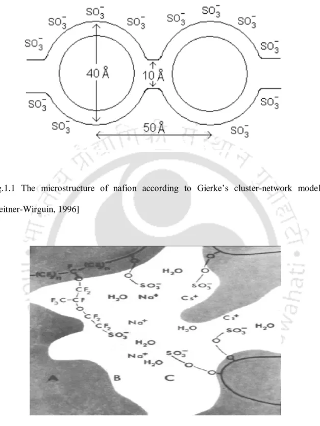 Fig.1.2  Illustration  of  Yeager  and  Steck’s  three  region  model  of  nafion  [Yeager  and  Steck,1981]   