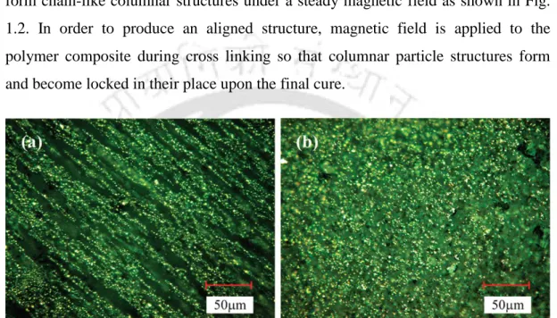 Figure 1.2 (a) Aligned MRE particles under the magnetic field and (b) randomly  dispersed MRE particles without magnetic filed ( Liao  et al., 2012)