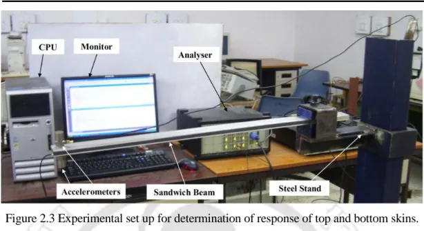 Figure 2.3 Experimental set up for determination of response of top and bottom skins.  