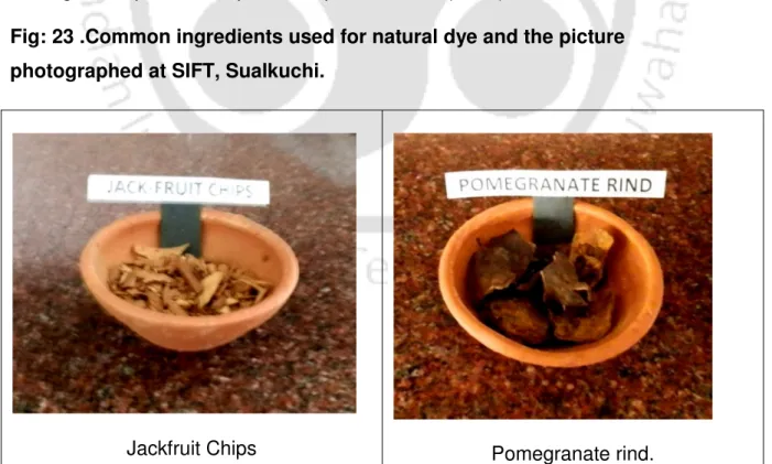 Fig: 23 .Common ingredients used for natural dye and the picture  photographed at SIFT, Sualkuchi