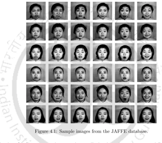 Figure 4.1: Sample images from the JAFFE database.