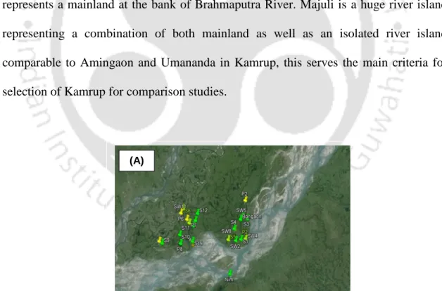 Figure 2.3 (A) Map of Majuli River Island showing the sampling sites 