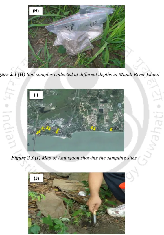 Figure 2.3 (H) Soil samples collected at different depths in Majuli River Island 
