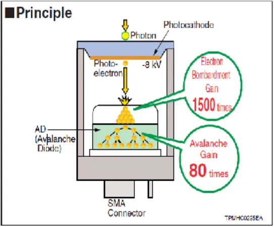 Figure 1.1 Hybrid Photo Detector [3]